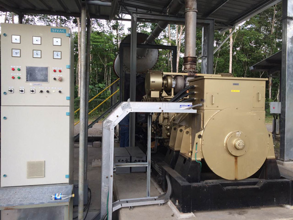 6000 Series Engine Diesel