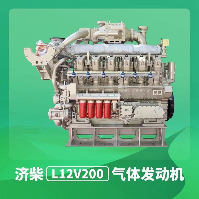 1000KW Biogaz Genset