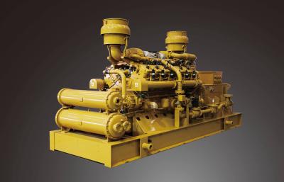 600KW Biyogazê Generator