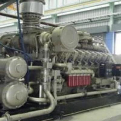 Tayland 5 × 1000kW Gensetên Biyogazê